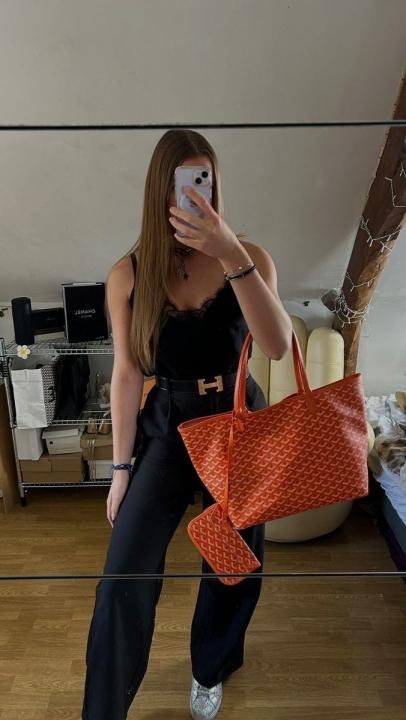 Goyard saint louis pm totebag(BS)