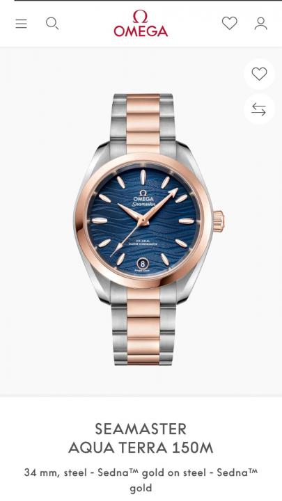 Omeg_a Seamaster Aqua Terra