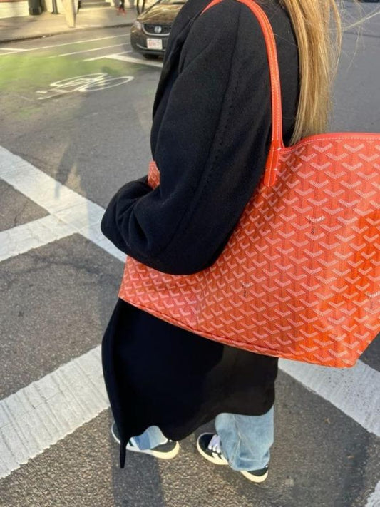 Goyard saint louis pm totebag(BS)