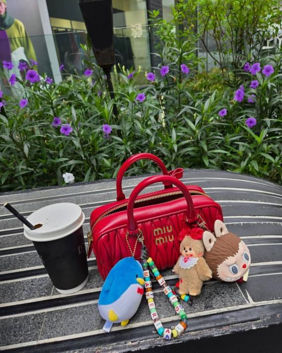 Miu Miu Arcadie Red Medium(BU)