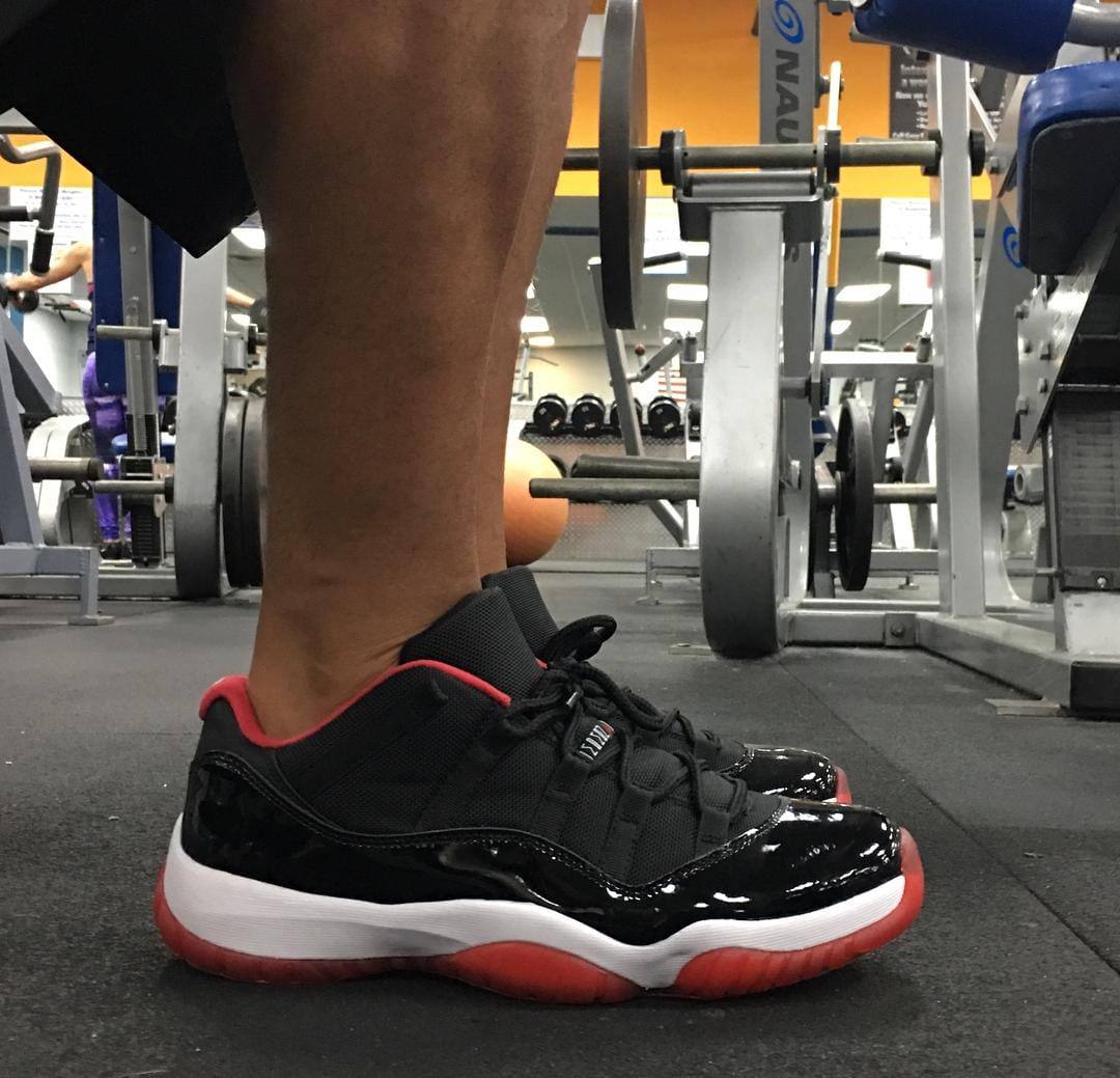 Jorden Retroo 11 Low Bred