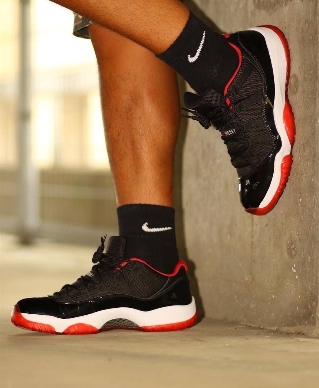 Jorden Retroo 11 Low Bred